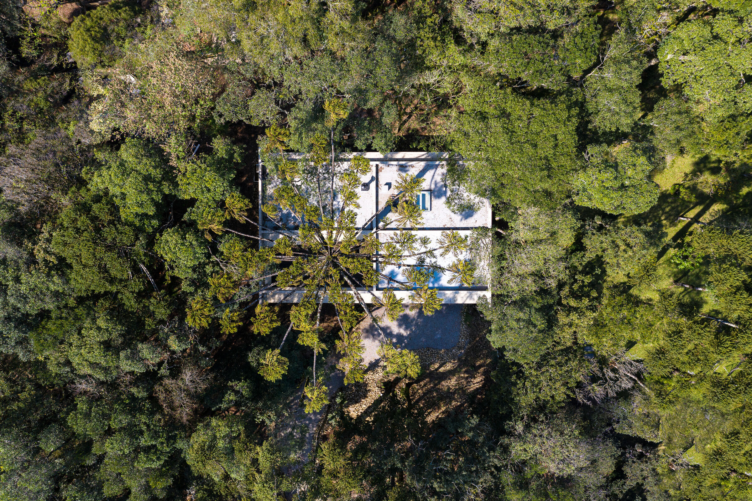 https://archello.com/story/105812/attachments/photos-videos/4 photo_credit Manuel Sá