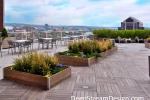 Alternative Rooftop Landscaping Systems Avoid Structural Building Damage