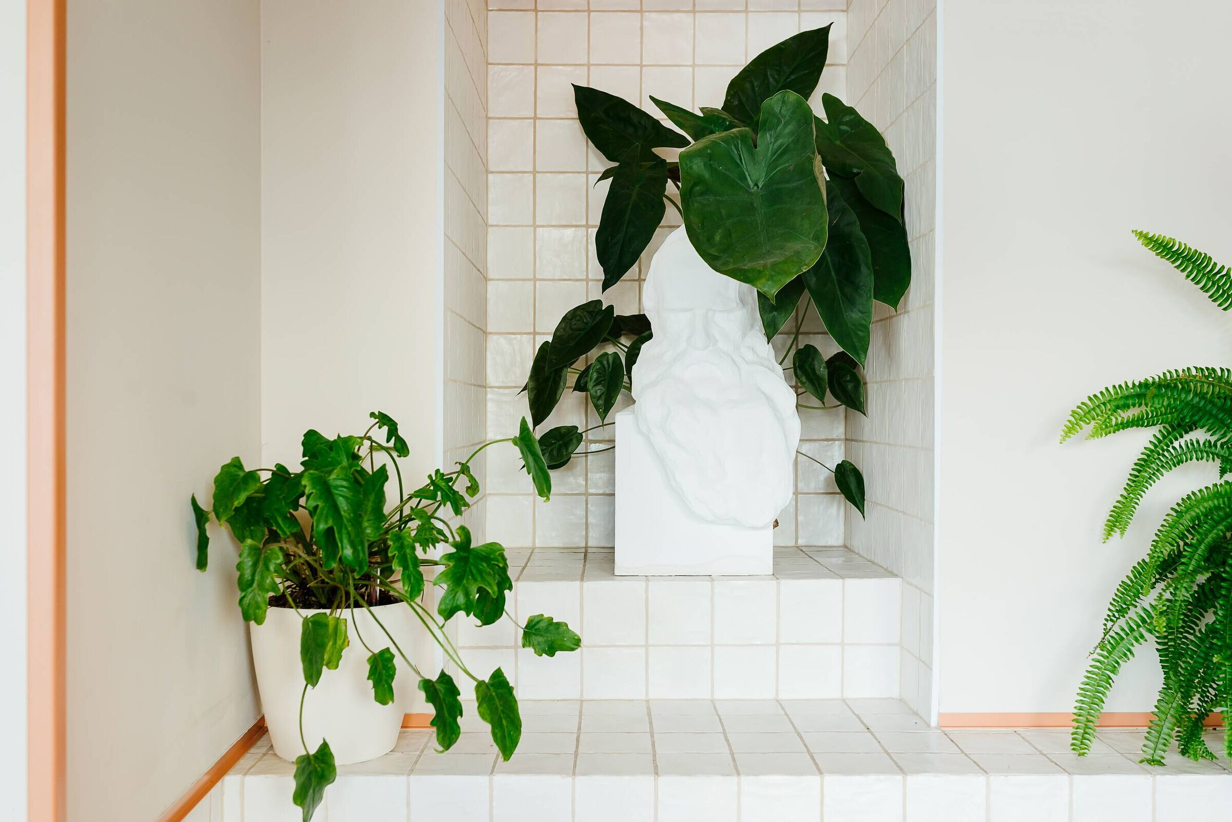 https://archello.com/story/106347/attachments/photos-videos/4 photo_credit Nicholas Krol