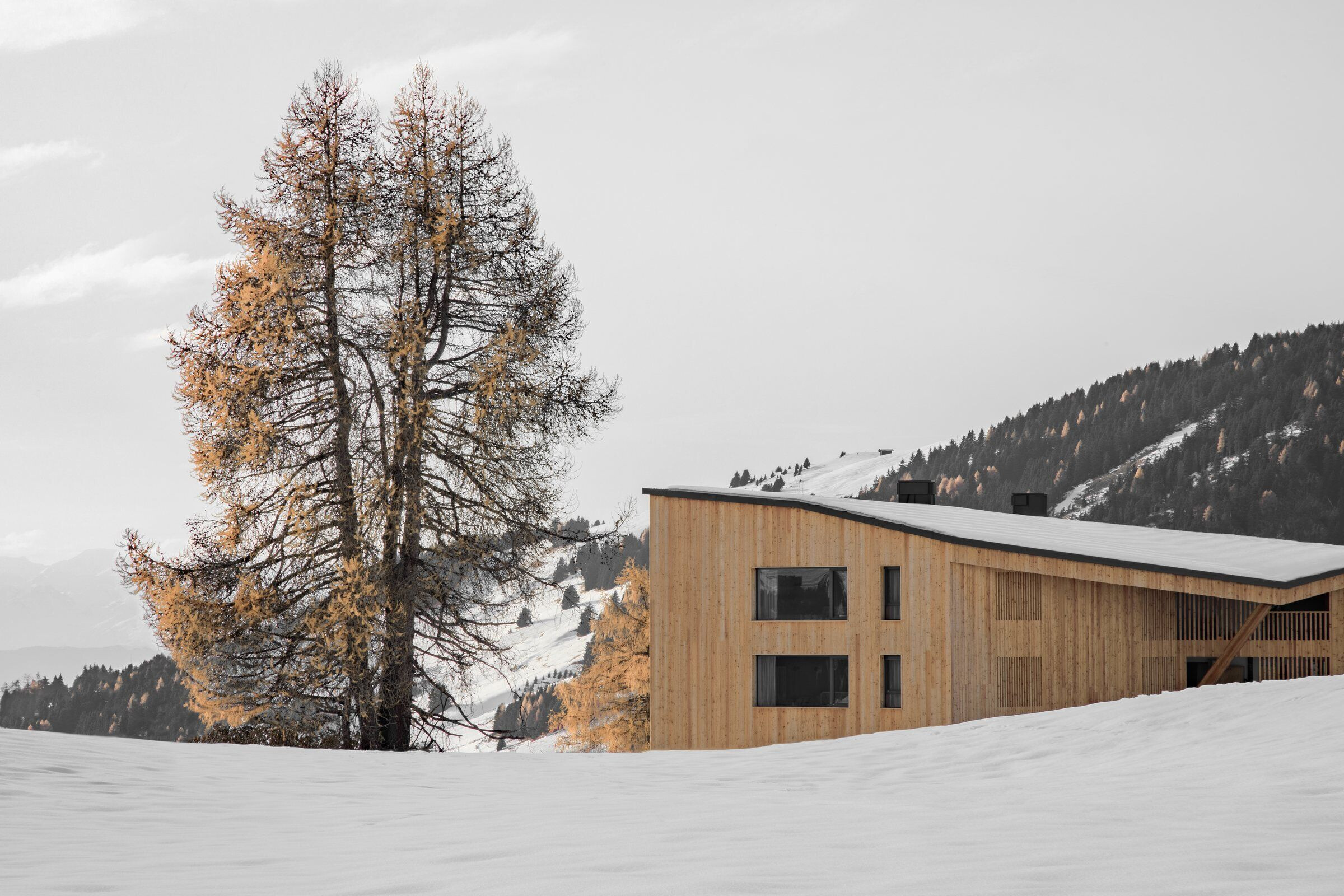 https://archello.com/story/106523/attachments/photos-videos/9 photo_credit Gustav Willeit