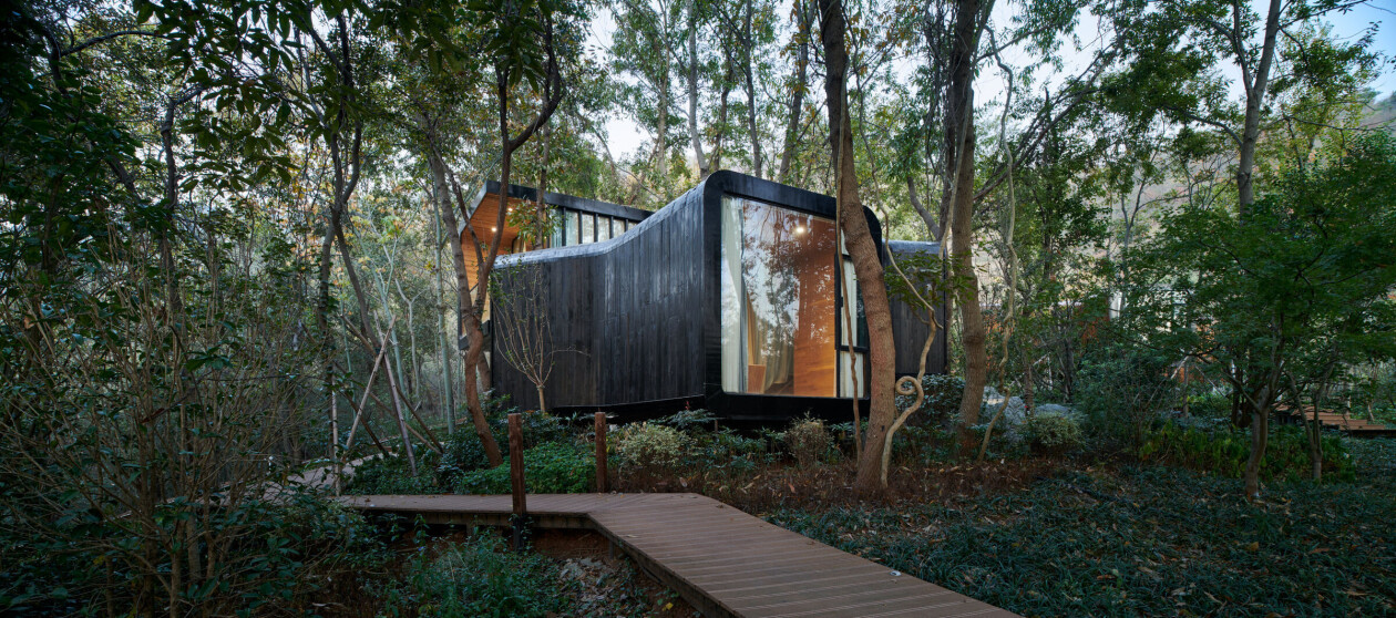 Monoarchi design four twisting cabins shaped by their surroundings