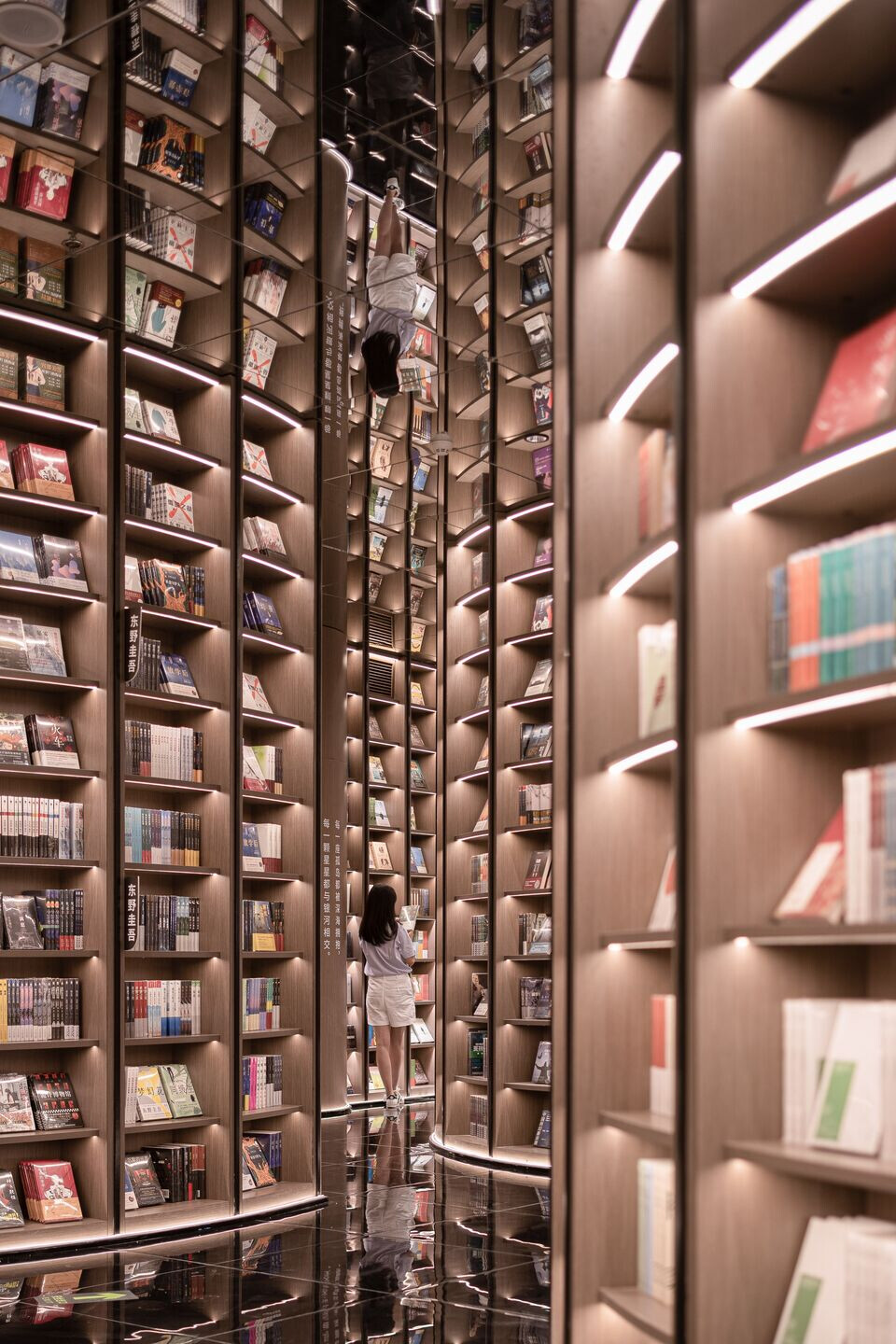 https://archello.com/story/92252/attachments/photos-videos/10 photo_credit SFAP