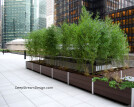 Large modular roof deck planters systems and liners with advanced drainage