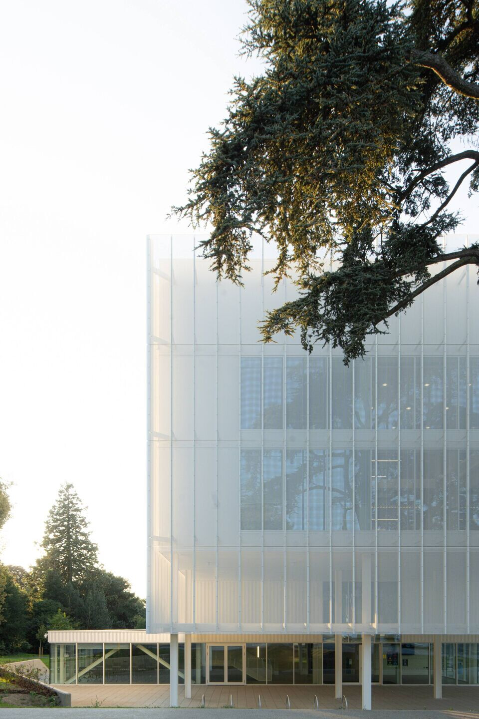 https://archello.com/story/107012/attachments/photos-videos/6 photo_credit © Coffey Architects