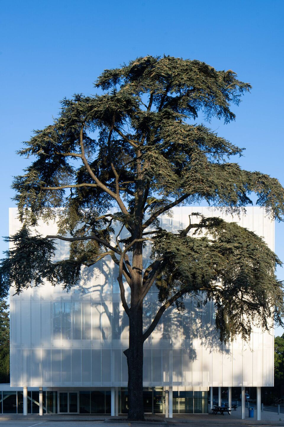 https://archello.com/story/107012/attachments/photos-videos/9 photo_credit © Coffey Architects