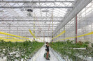 Agrotopia - van Bergen Kolpa Architects + Meta architectuurbureau