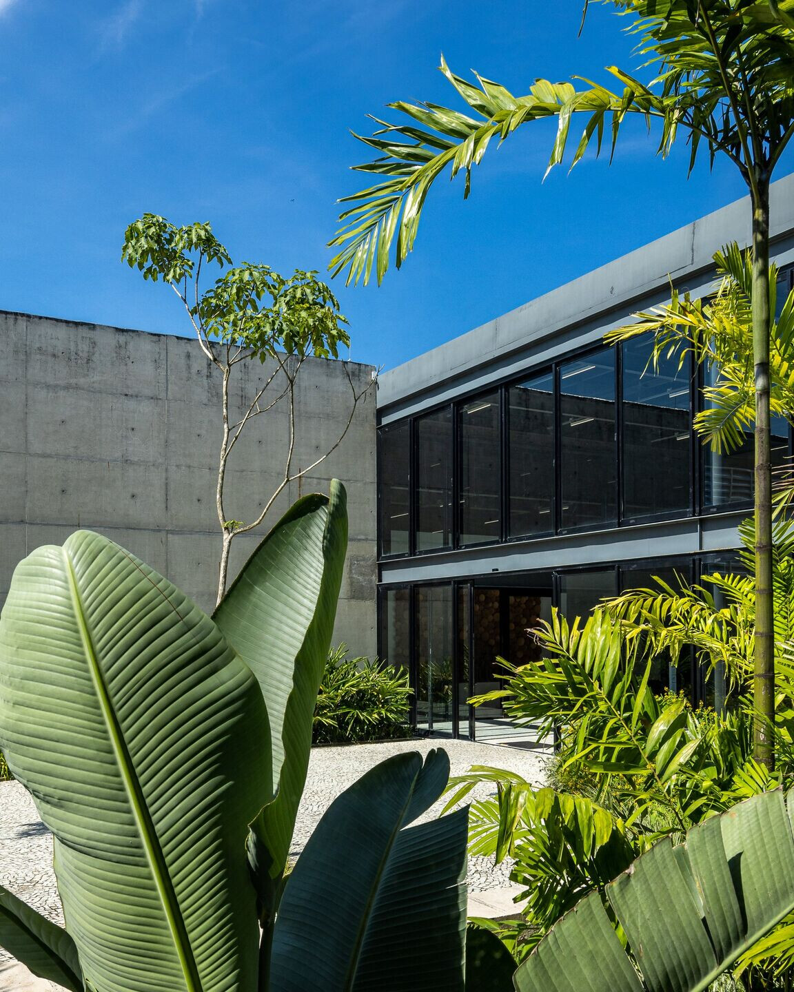 https://archello.com/story/107218/attachments/photos-videos/16 photo_credit Manuel Sá