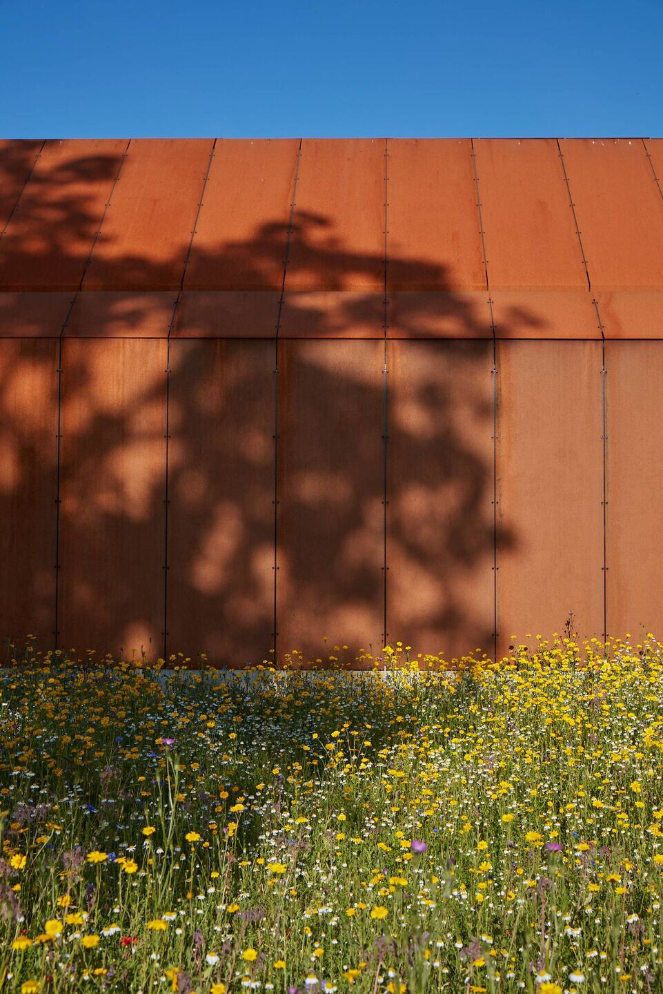 https://archello.com/story/107509/attachments/photos-videos/9 photo_credit Andy Haslam