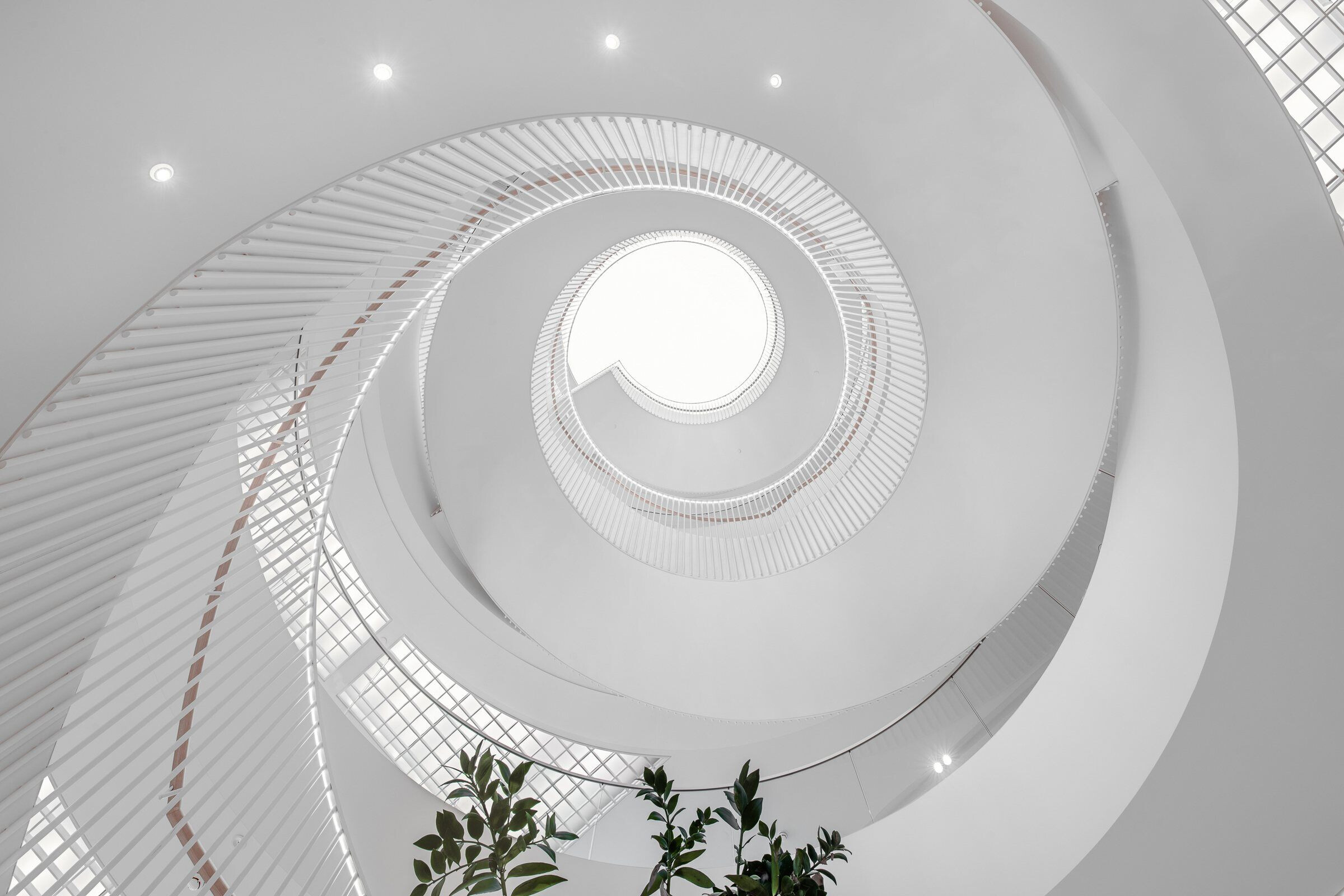 https://archello.com/story/107782/attachments/photos-videos/11 photo_credit Tom Blachford