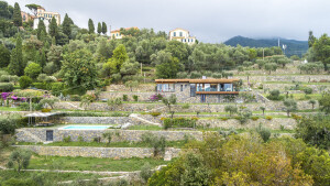 A olive grove recovery : a sustainable way to live