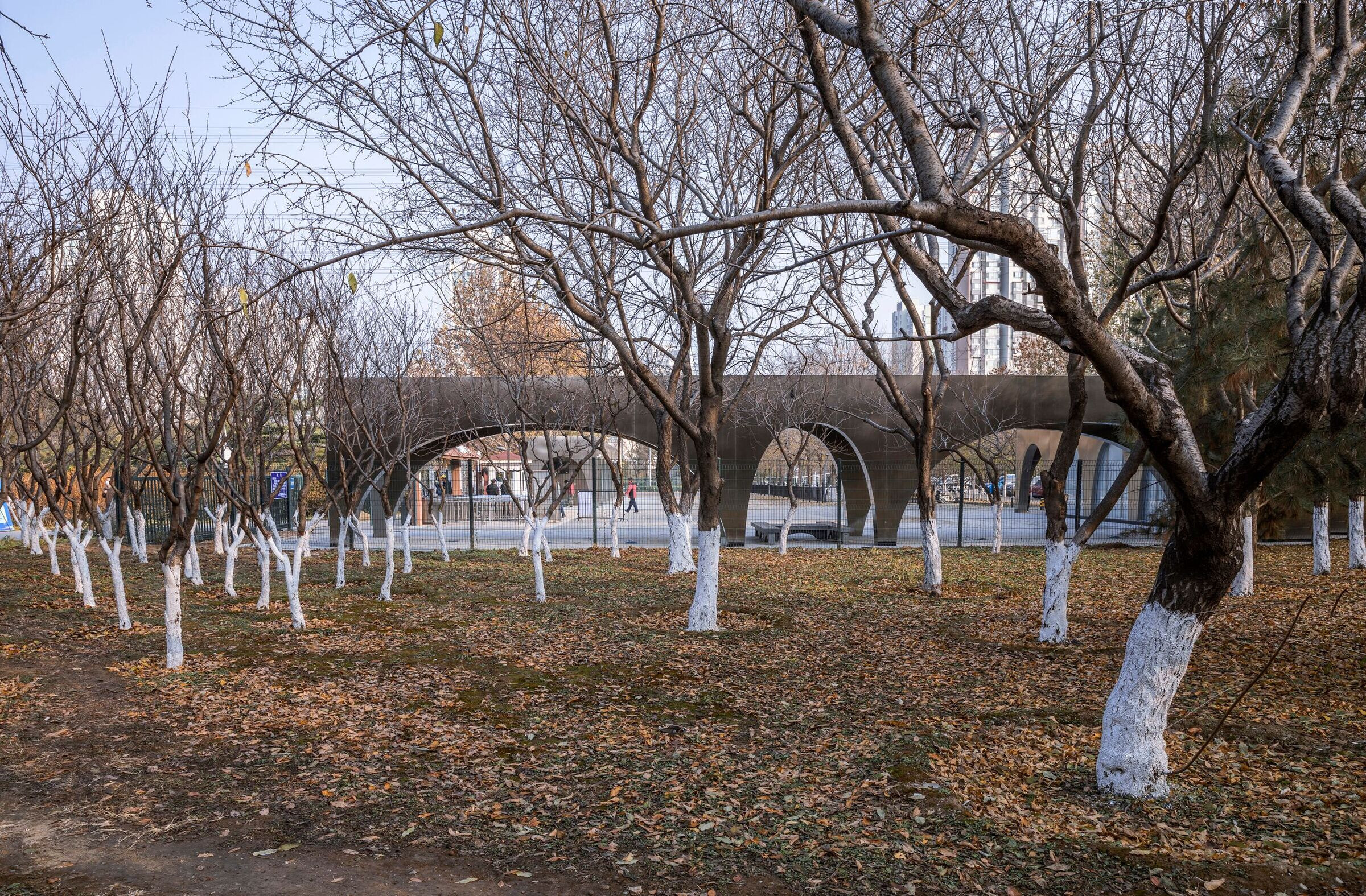 https://archello.com/story/108122/attachments/photos-videos/9 photo_credit Weiqi Jin