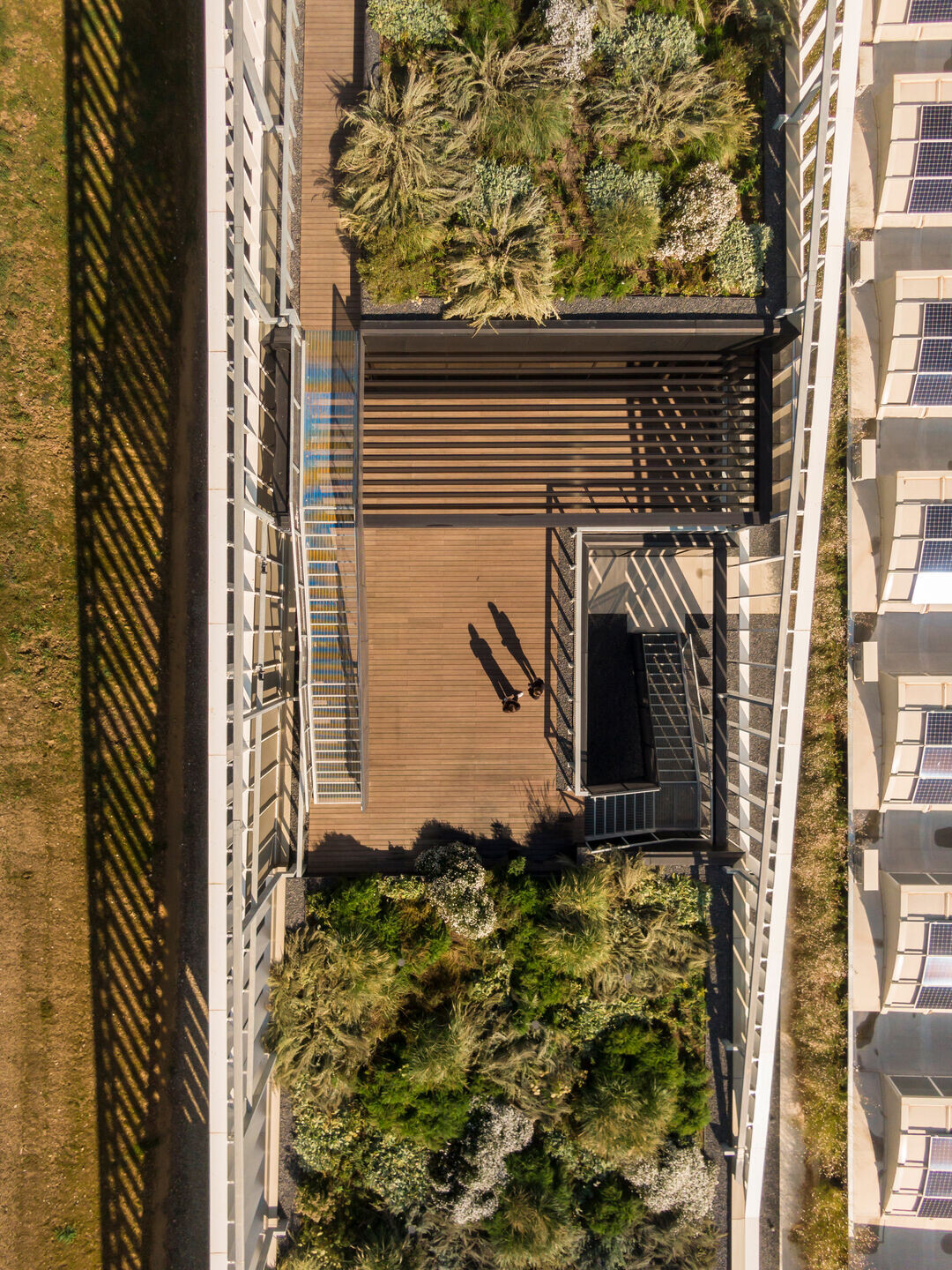 https://archello.com/story/108188/attachments/photos-videos/5 photo_credit Fernando Guerra