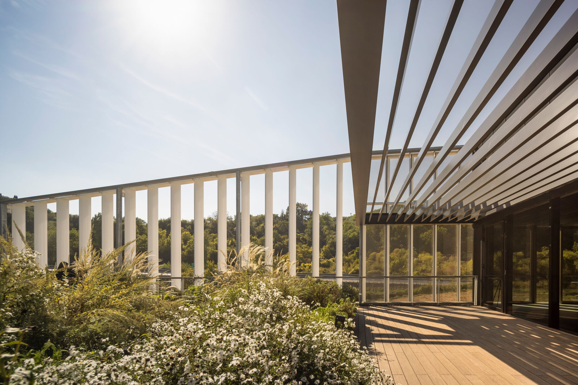 https://archello.com/story/108188/attachments/photos-videos/6 photo_credit Fernando Guerra