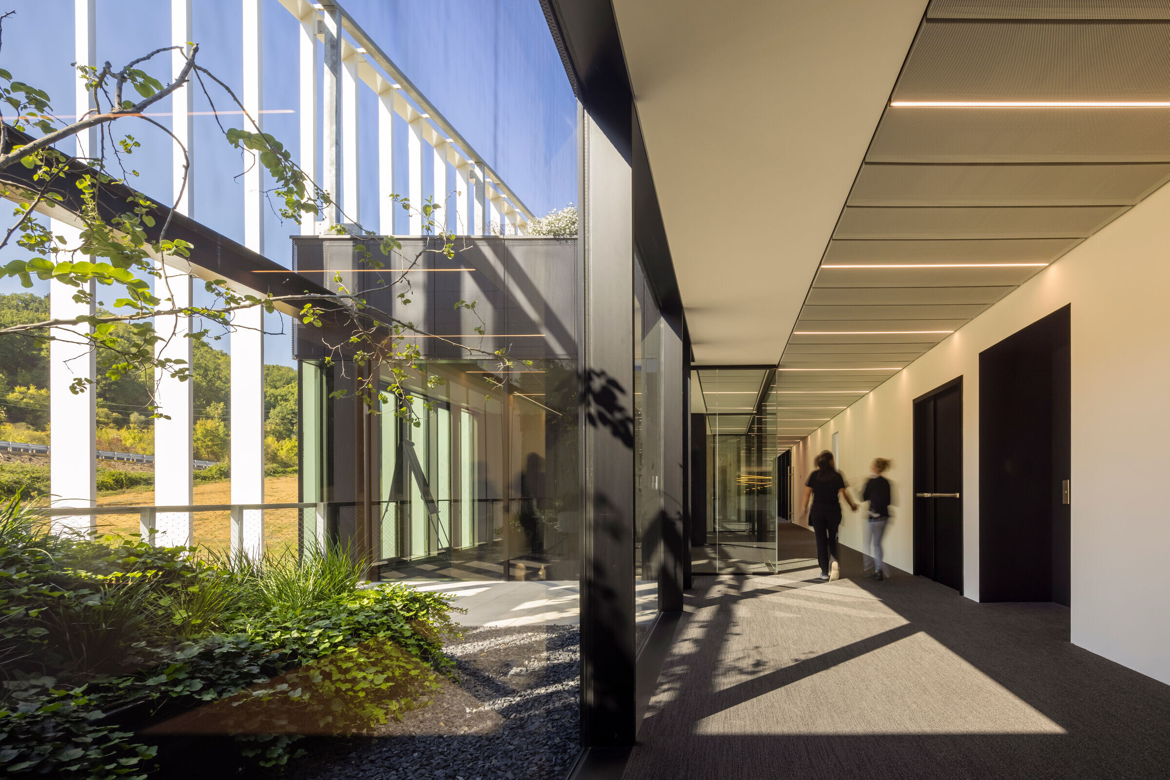 https://archello.com/story/108188/attachments/photos-videos/9 photo_credit Fernando Guerra