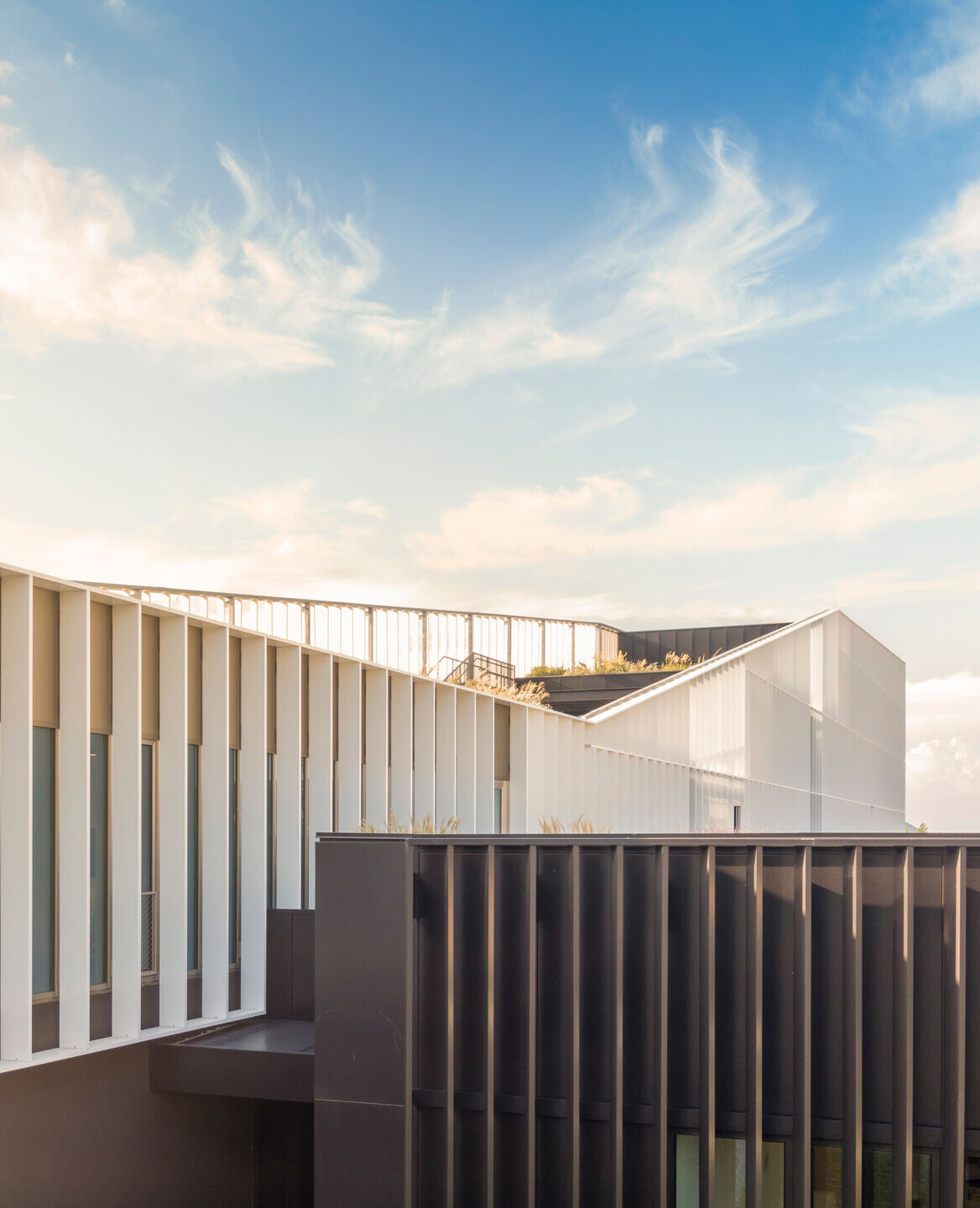 https://archello.com/story/108188/attachments/photos-videos/12 photo_credit Fernando Guerra