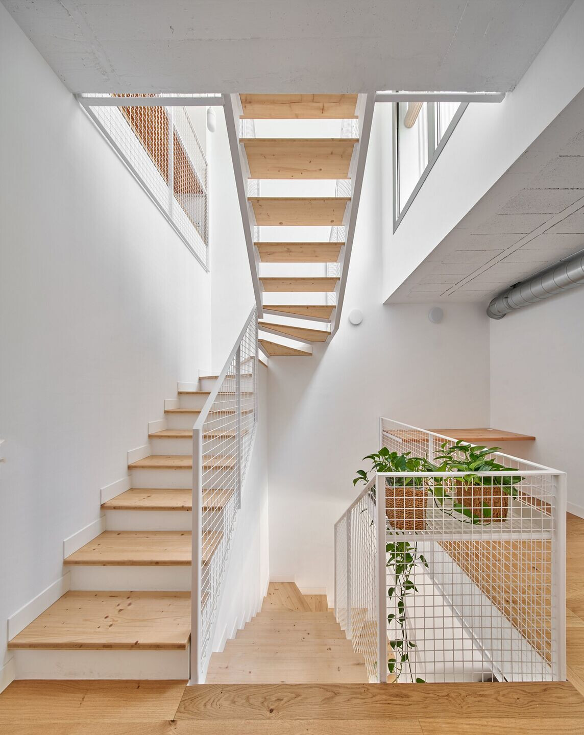 https://archello.com/story/108785/attachments/photos-videos/16 photo_credit José Hevia
