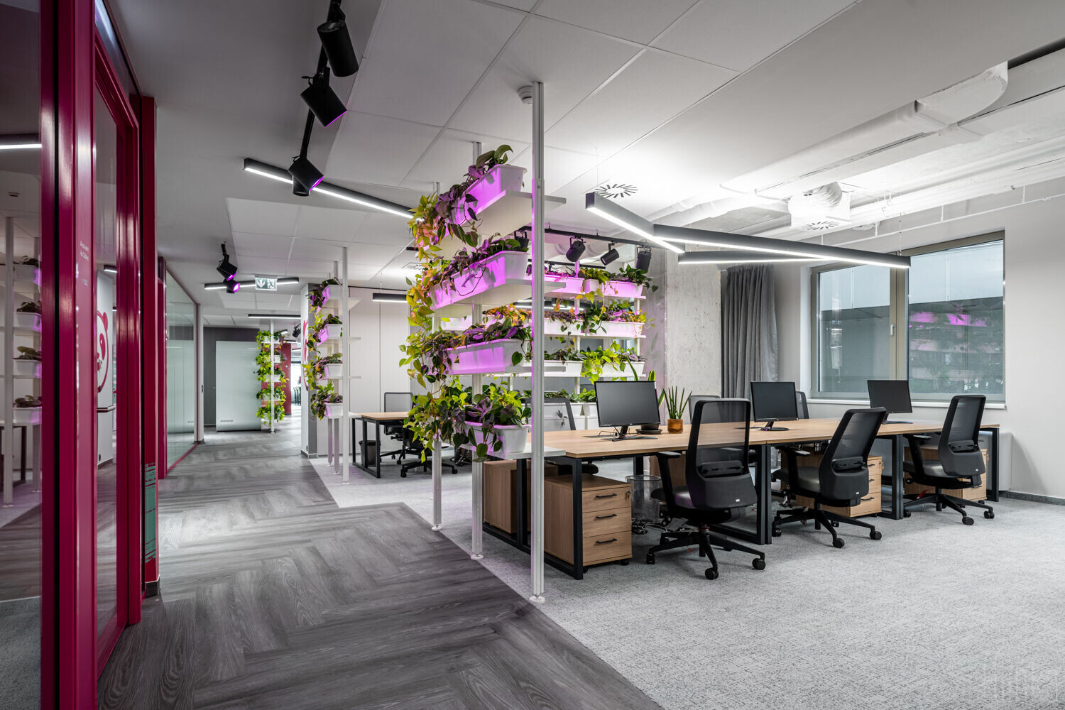 https://archello.com/story/109125/attachments/photos-videos/16 photo_credit Zsolt Hlinka