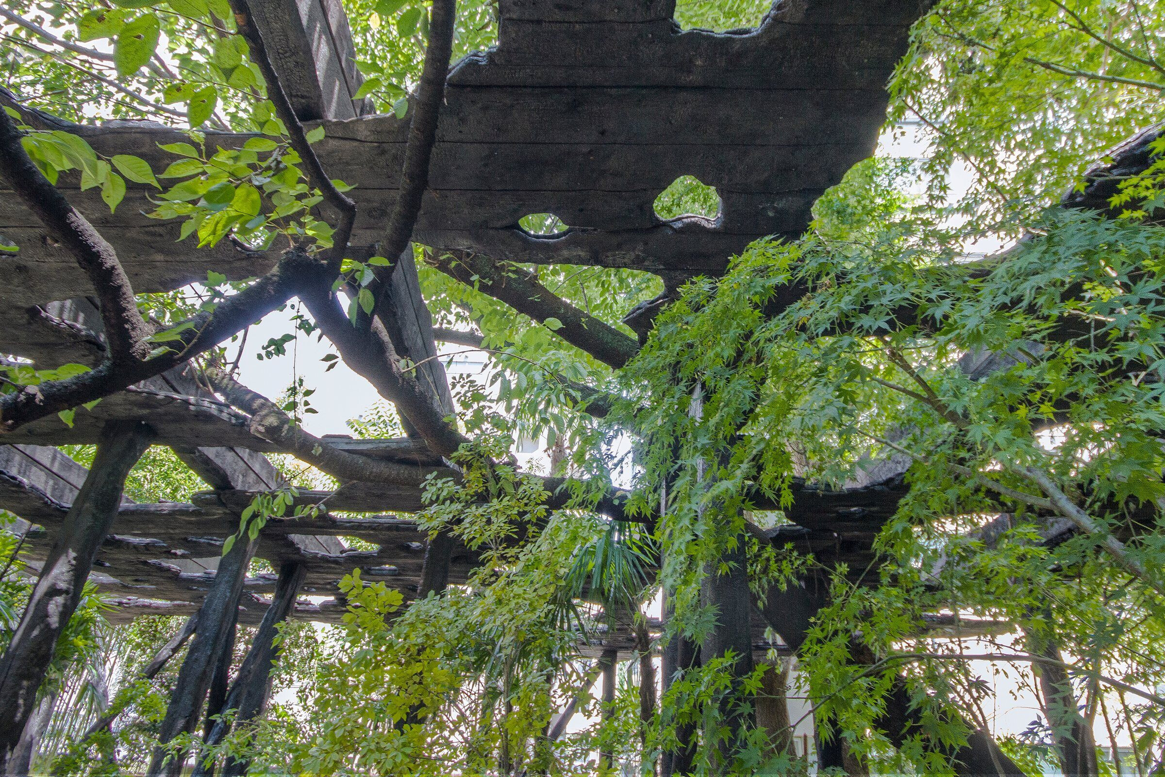 https://archello.com/story/109135/attachments/photos-videos/8 photo_credit junya.ishigami+associates