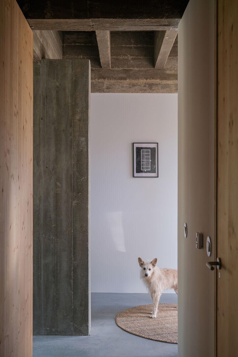 https://archello.com/story/109202/attachments/photos-videos/9 photo_credit Diana Quintela