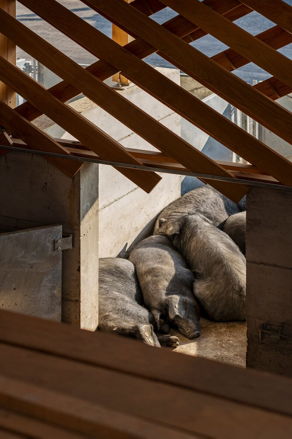 https://archello.com/story/109222/attachments/photos-videos/15 photo_credit Bosnic+Dorotic