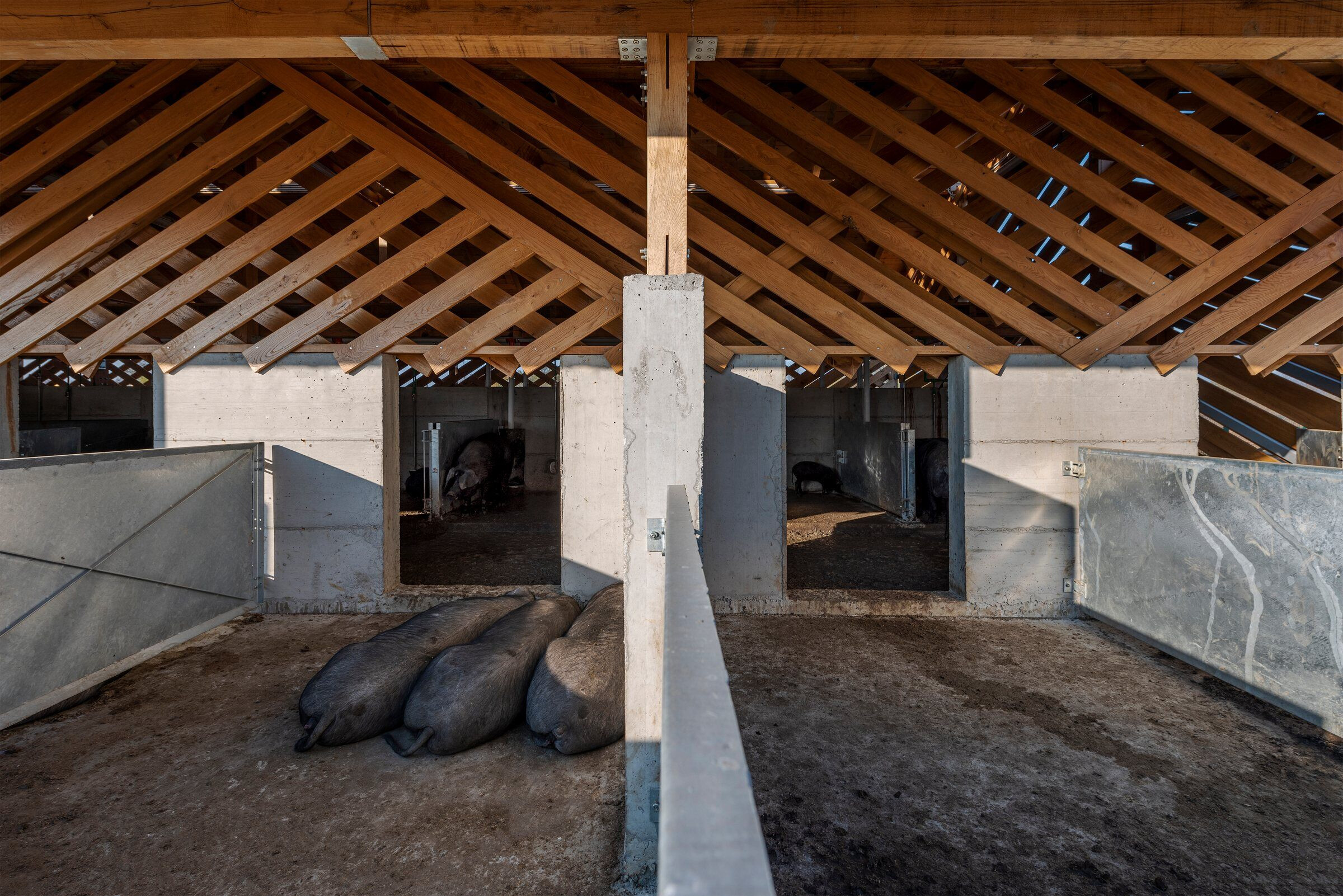 https://archello.com/story/109222/attachments/photos-videos/21 photo_credit Bosnic+Dorotic