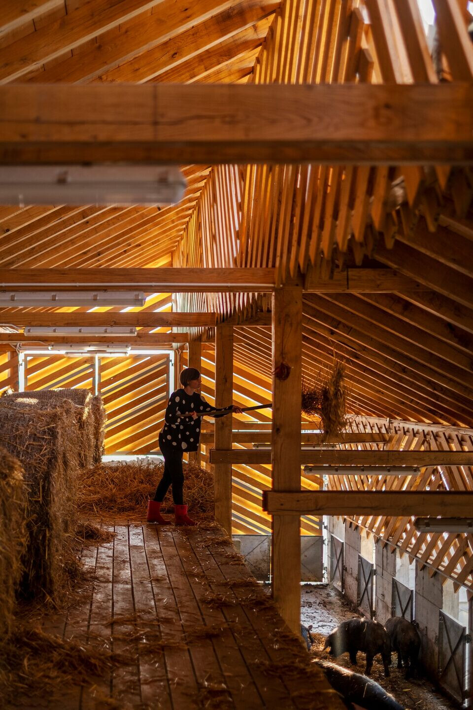 https://archello.com/story/109222/attachments/photos-videos/27 photo_credit Bosnic+Dorotic