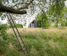 Under the Willow Tree