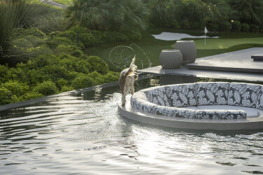 Serenity Indian Wells luxury modern desert home backyard swimming pool