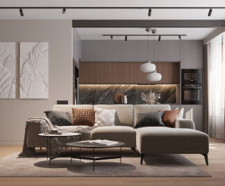 Contemporary style apartment