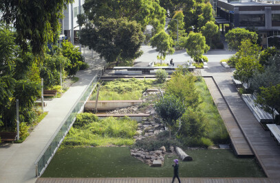 Western Precinct Landscape Monash University