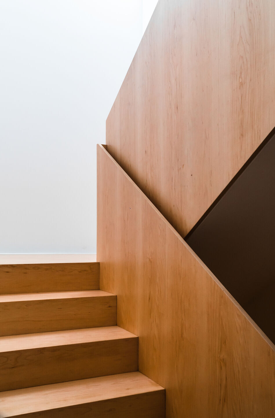 https://archello.com/story/110275/attachments/photos-videos/7 photo_credit Daniel Sousa