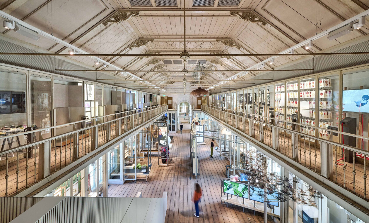 Merk X revitalizes Amsterdam Zoo natural history building that was closed for 75 years