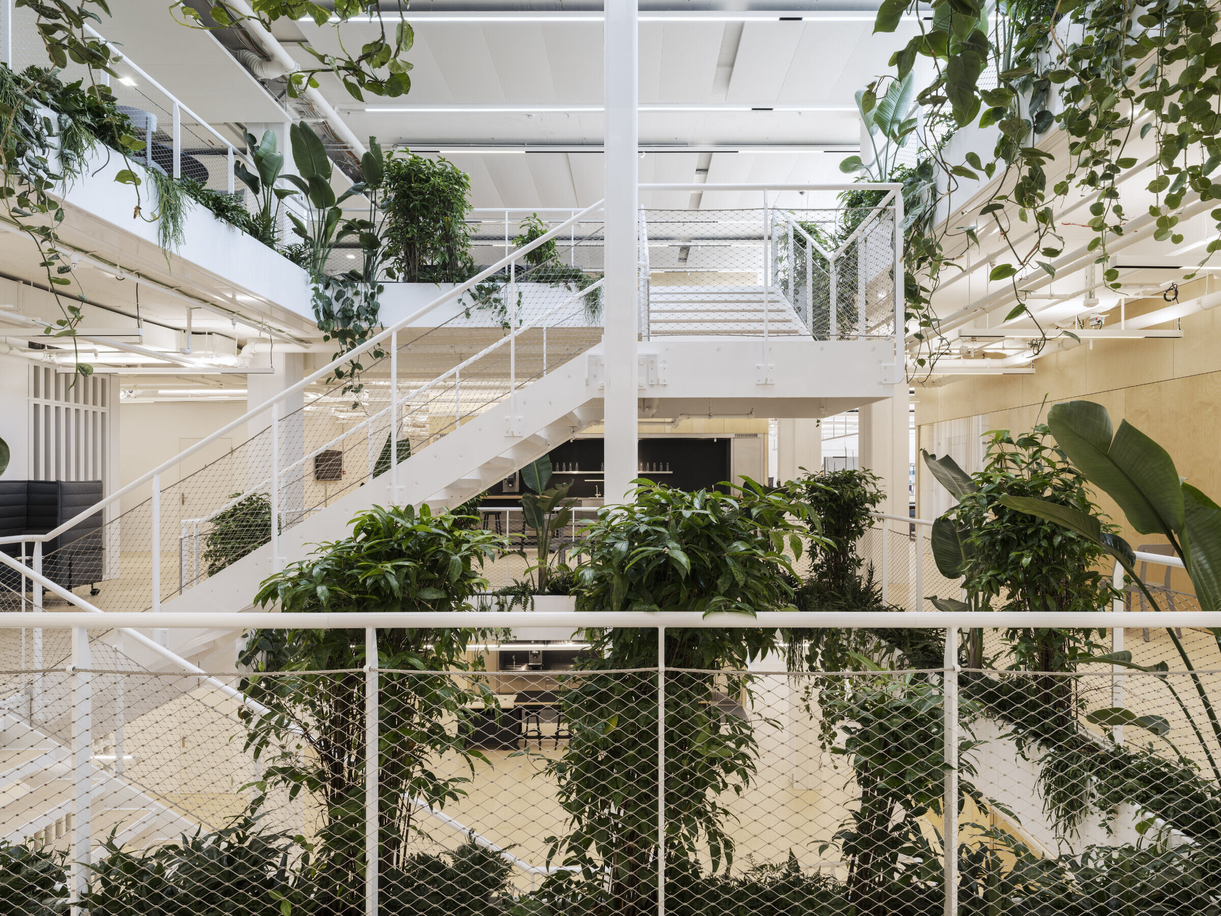 https://archello.com/story/110400/attachments/photos-videos/9 photo_credit Beat Bühler
