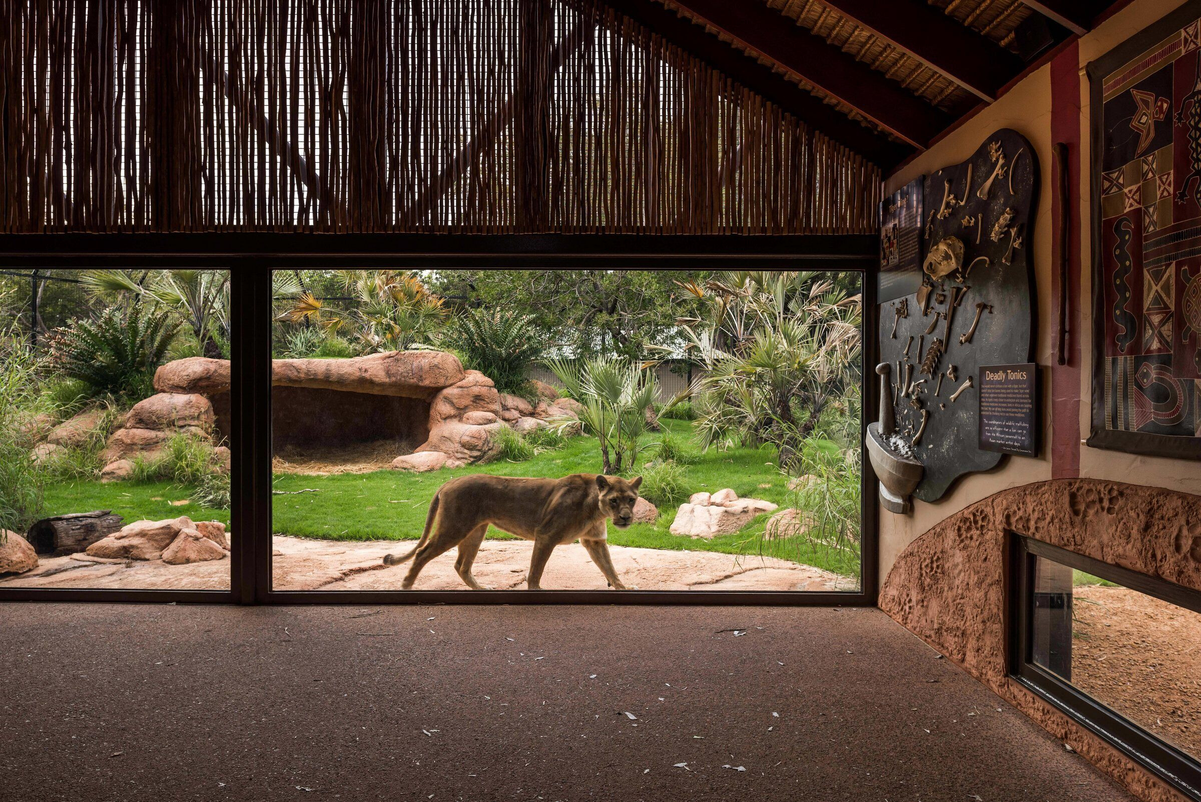 https://archello.com/story/110376/attachments/photos-videos/14 photo_credit Dion Robeson