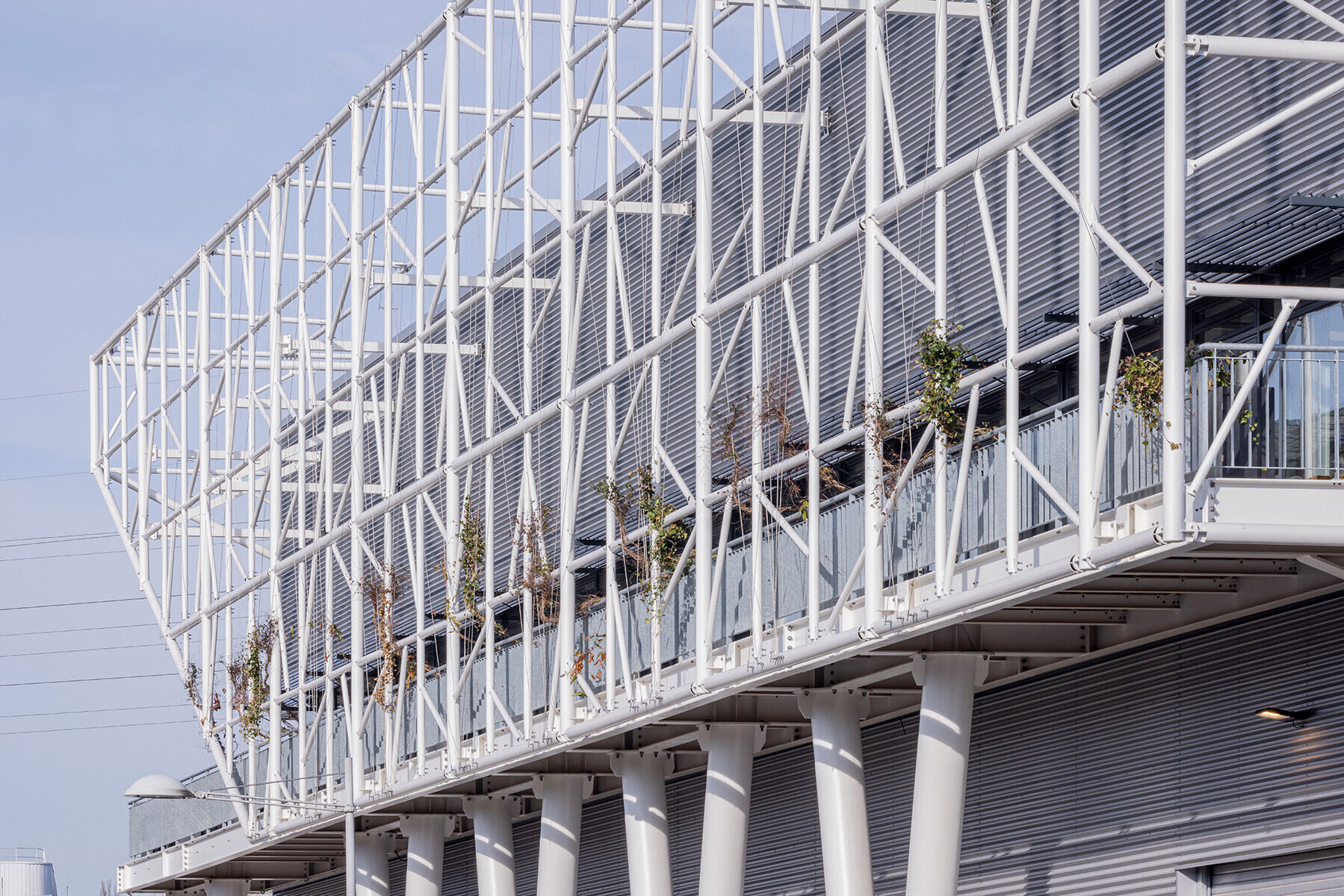 https://archello.com/story/110397/attachments/photos-videos/3 photo_credit Guillaume Guerin