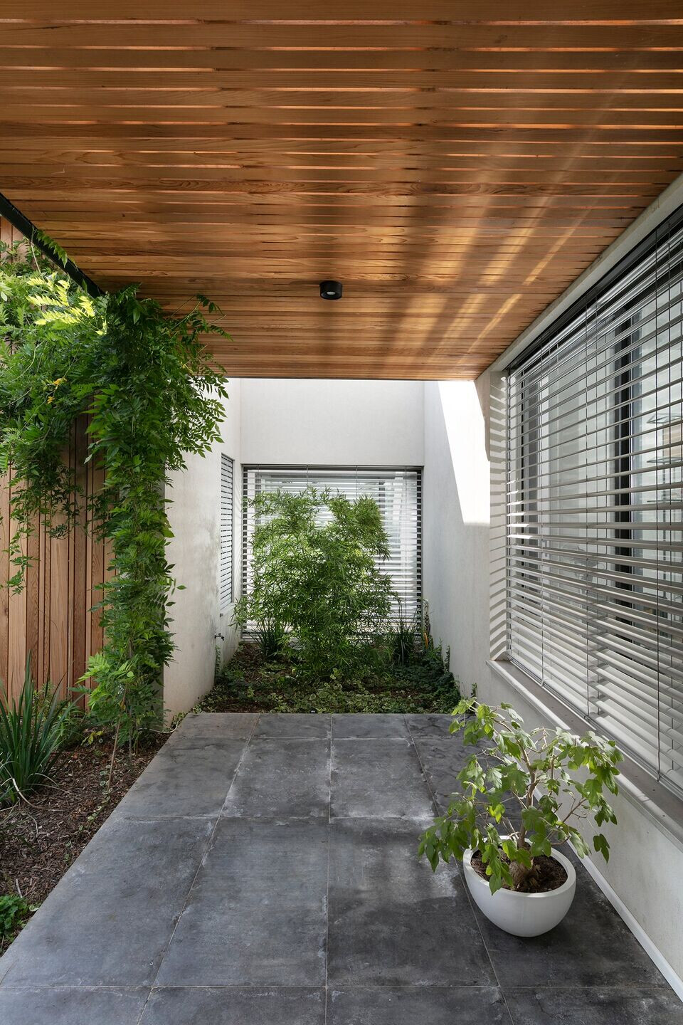 https://archello.com/story/110533/attachments/photos-videos/11 photo_credit Elad Gonen