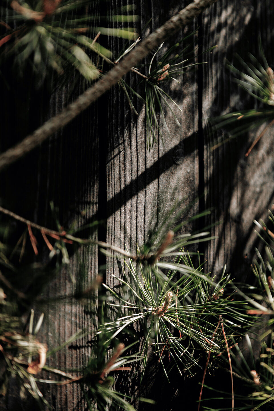 https://archello.com/story/110557/attachments/photos-videos/4 photo_credit Edvinas Bruzas