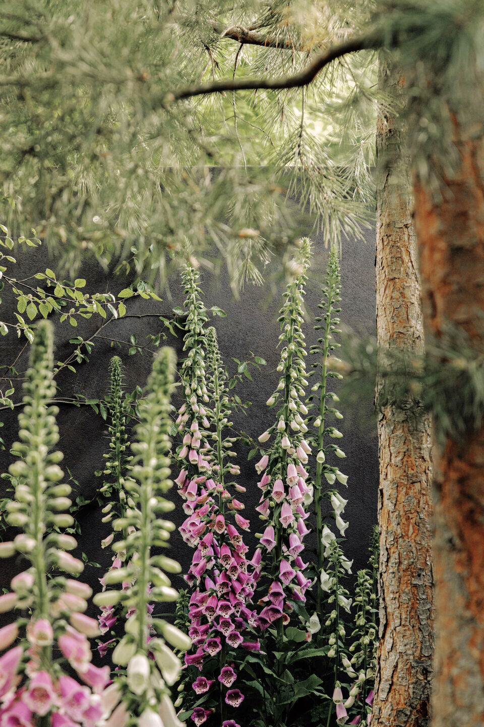 https://archello.com/story/110557/attachments/photos-videos/23 photo_credit Edvinas Bruzas