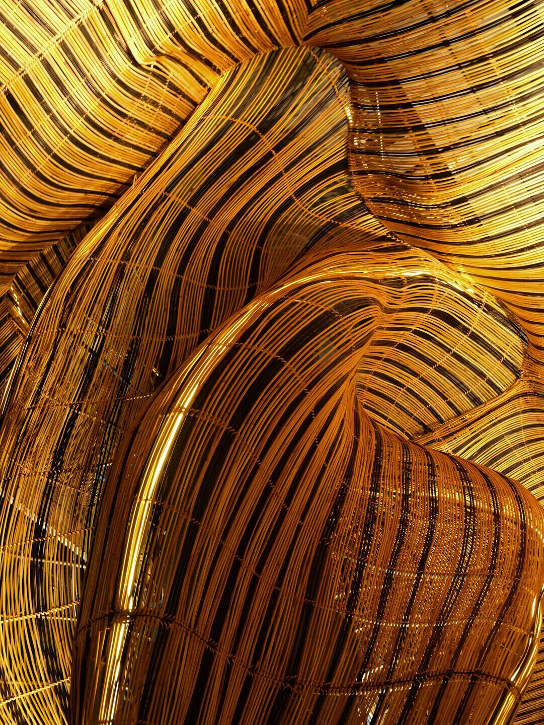 https://archello.com/story/110843/attachments/photos-videos/13 photo_credit William Barrington Binns