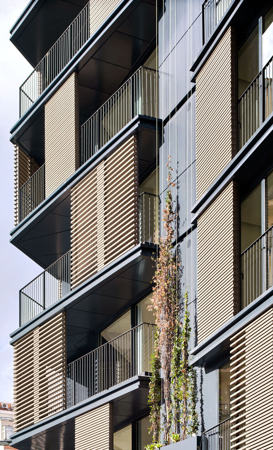 https://archello.com/story/111125/attachments/photos-videos/5 photo_credit José Hevia