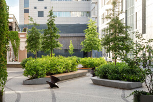 Coexistence Garden