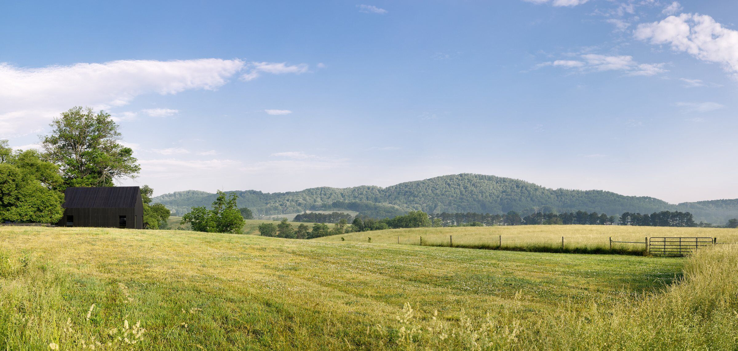 photo_credit Virginia Hamrick Photography