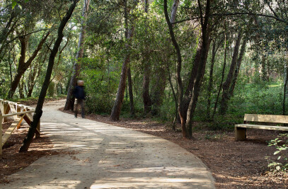 Volpelleres forest park