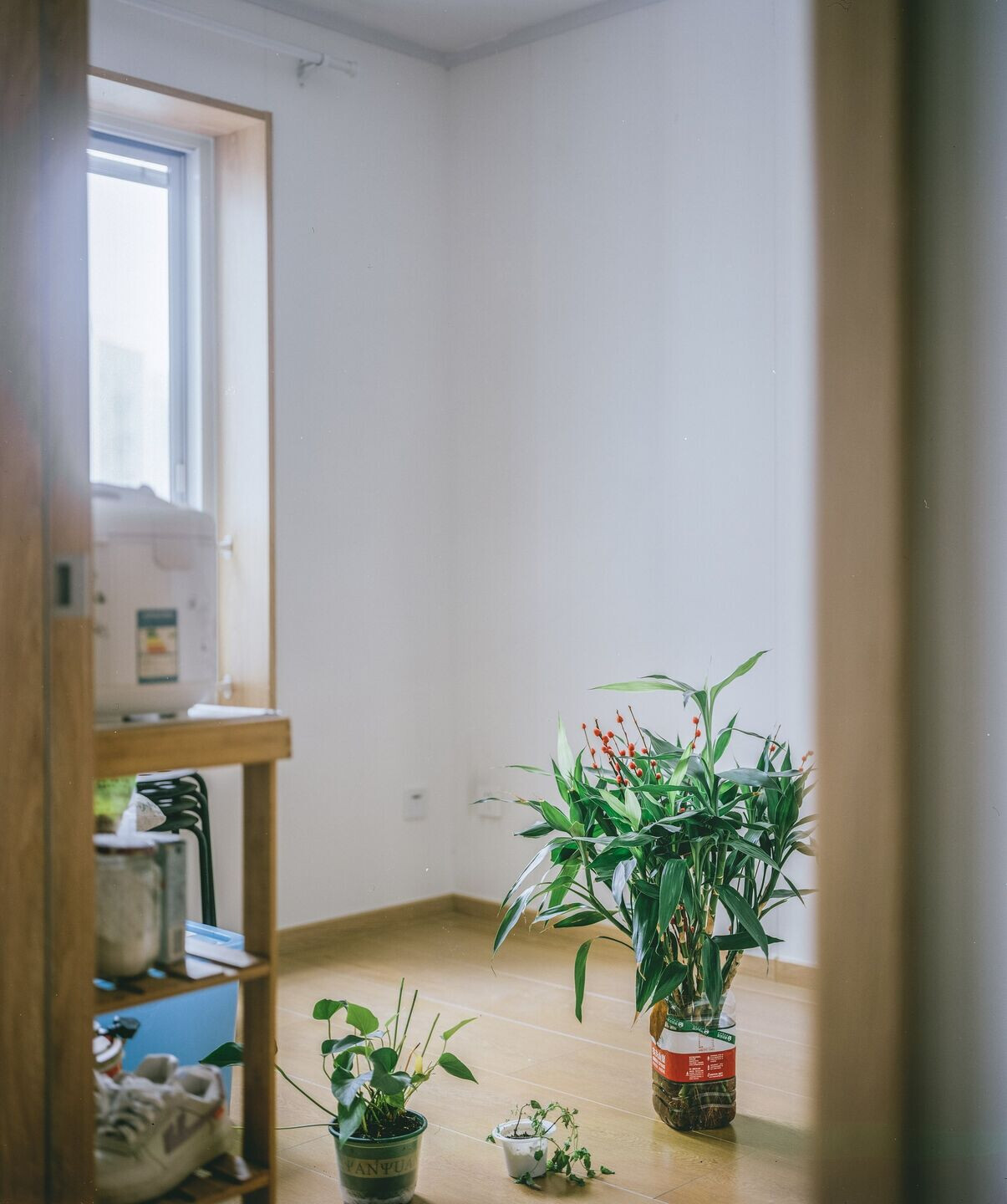 https://archello.com/story/111849/attachments/photos-videos/4 photo_credit Zhu Yumeng