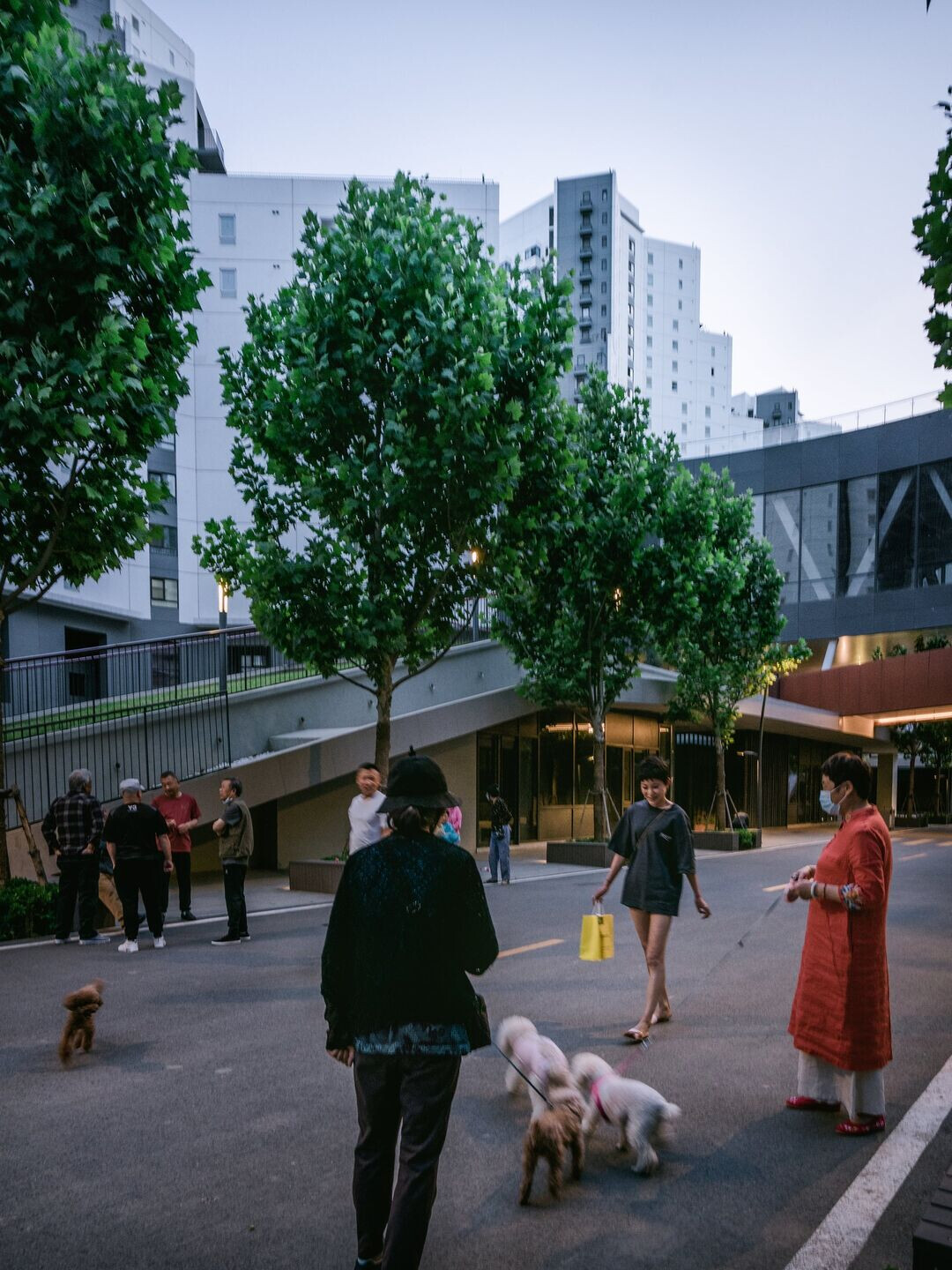 https://archello.com/story/111849/attachments/photos-videos/6 photo_credit Zhu Yumeng