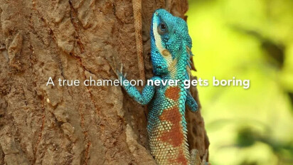 Rockpanel Chameleon (Product Video)