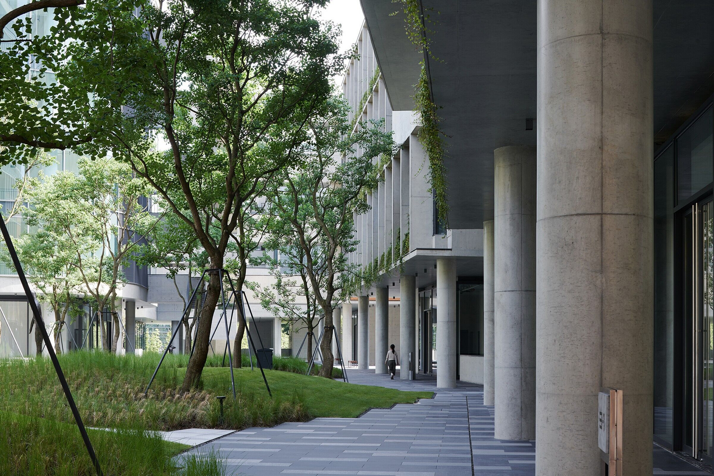https://archello.com/story/112098/attachments/photos-videos/21 photo_credit Chen Hao / Vector Architects