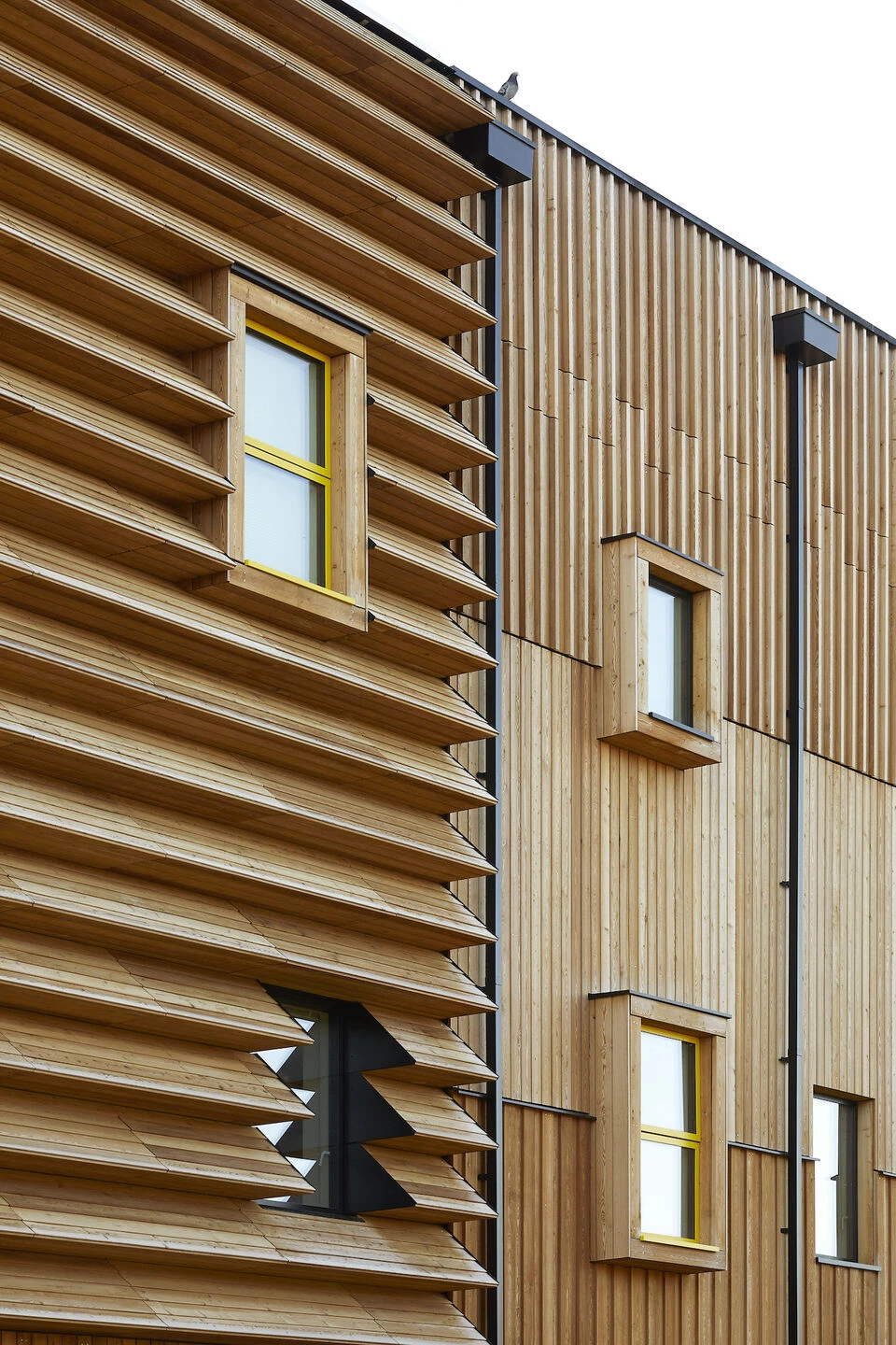 https://archello.com/story/112259/attachments/photos-videos/9 photo_credit Hufton + Crow Photography