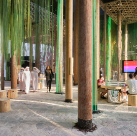 The Forest - The Swedish Pavilion at Expo 2020