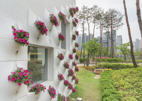 Flower   Kindergarten
